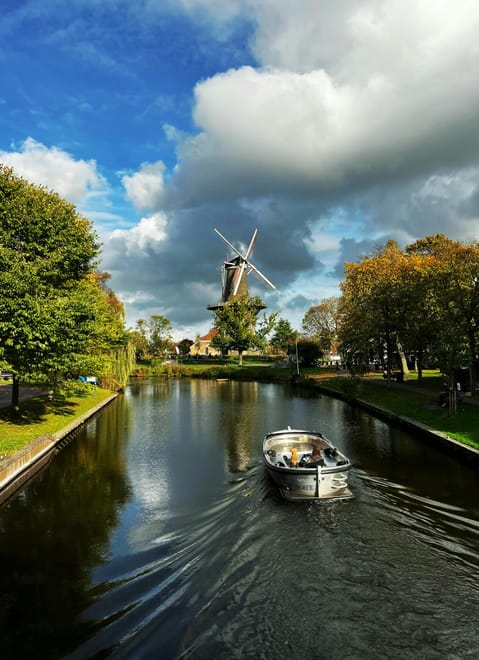 Things to do in Haarlem
