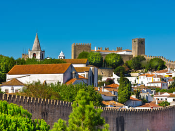 Small Group Day Trip from Lisbon to Fátima and Batalha