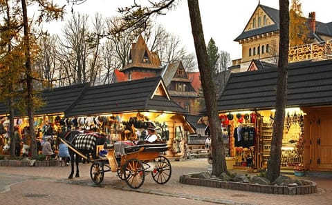 Krakow: Zakopane Tour with Hot Bath Pools and Hotel Pickup