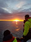 Premium Whales & Midnight Sun 3
