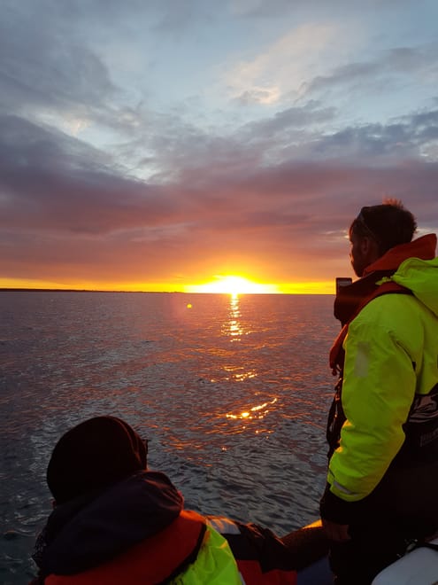 Premium Whales & Midnight Sun 3