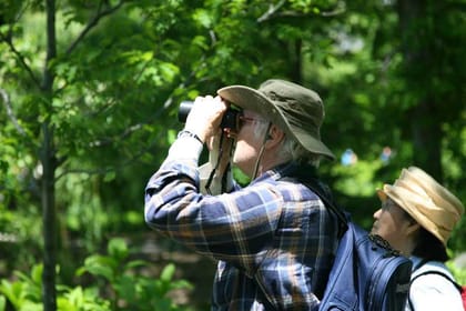 Journey of Sinharaja Rain Forest