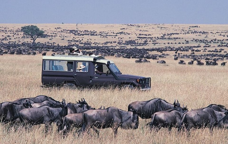 5Days Masai Mara Nakuru Naivasha joining Group Budget Safari