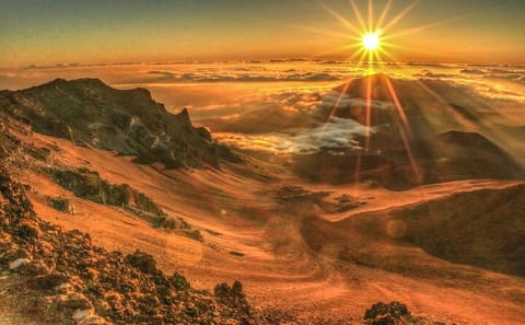 Small Group Adventure Tour of Maui Waterfalls and Beaches