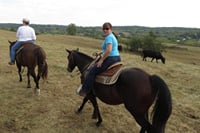 Discover Forests &amp; Rivers with 2 Hours Horseback Riding – Agadir