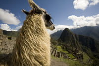 4-Day Cusco Capital of the Inca Empire, Sacred Valley & Machu Picchu 6