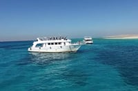 Swim with Dolphins Sea Trip Adventure with Lunch : Marsa Alam