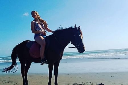 Private Horse Riding Experience on Seminyak Beach, Bali