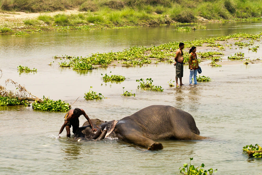 19 Days Mera Peak Climbing & Expedition – One Life-Changing Himalayan Adventure