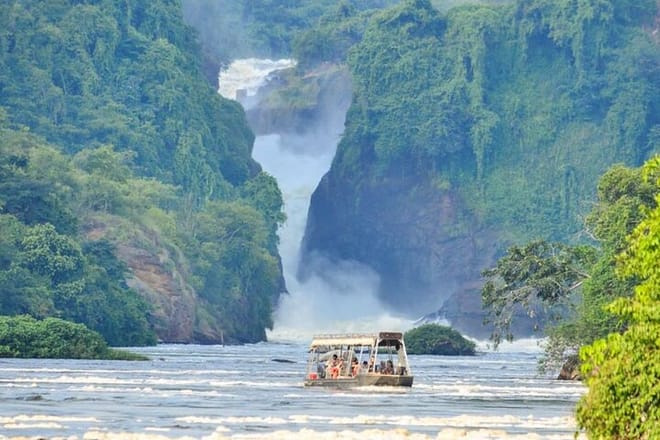 12 Days Gorillas, Chimps Trekking and Wildlife Budget Tour photo 6