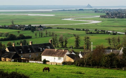 Small Group Day Trip from Paris to Mont Saint Michel and Brittany
