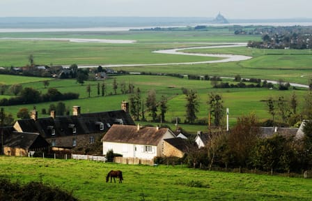 Small Group Day Trip from Paris to Mont Saint Michel and Brittany