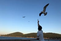  Istanbul: Princes Islands Tour with Hotel Transfer & Lunch 8