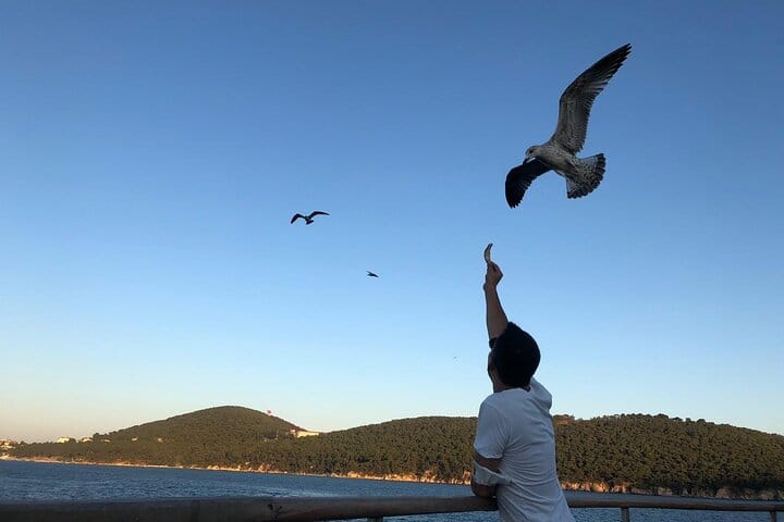  Istanbul: Princes Islands Tour with Hotel Transfer & Lunch 8