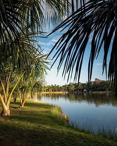 Tin-07 : Boating on the Miraculous Lagoon - An Idyllic Nature Experience