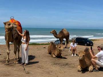 Tangier Camel Ride Tour with Pick-up and Drop-off