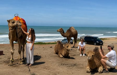 Tangier Camel Ride Tour with Pick-up and Drop-off