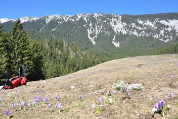Private Hiking Tour in Piatra Craiului National Park from Brașov