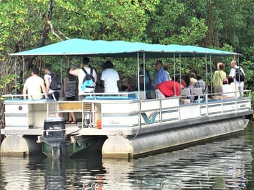 Black River Safari Tour