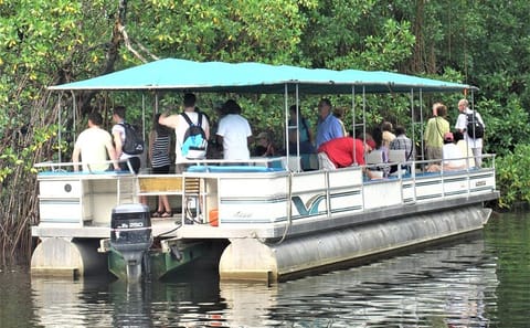 YS Falls and Black River Safari Tour from Montego Bay