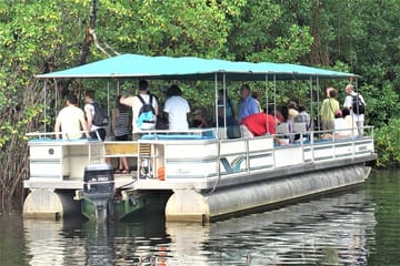 YS Falls and Black River Safari Tour from Montego Bay