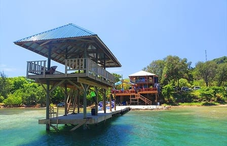 East Roatán ATV Tour with Private Transportation