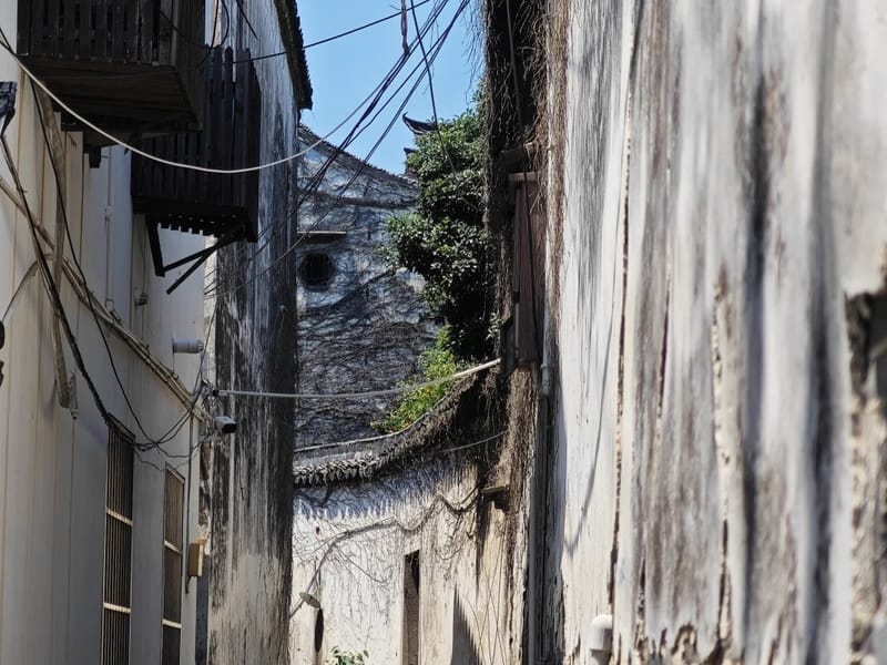 Suzhou: Dongshan Taihu Views & Luxiang Village Private Tour