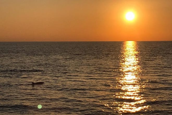 Sunset and dolphin excursion Pula - ship Ulika 9