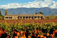 Visit Vistalba Winery