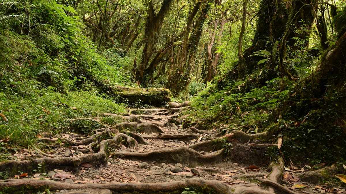 19 Days Mera Peak Climbing & Expedition – One Life-Changing Himalayan Adventure