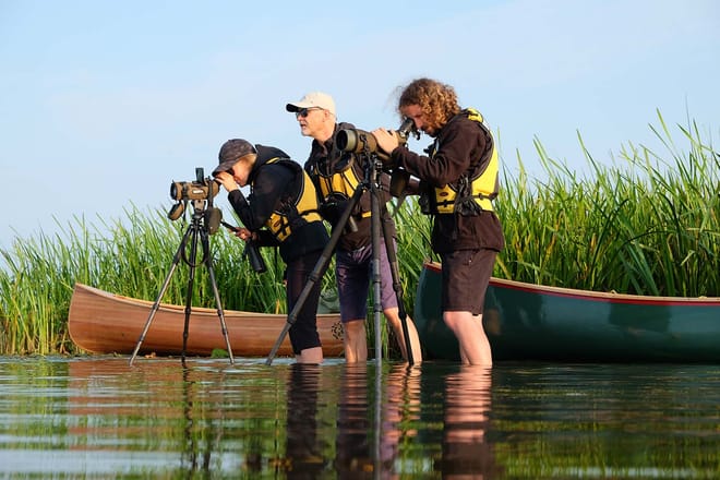 Birdwatch- Premium guided canoe tour at Cape Vente, Nemunas Delta Regional Park, Lithuania