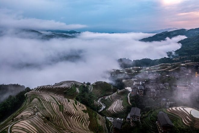Longji Terrace fields