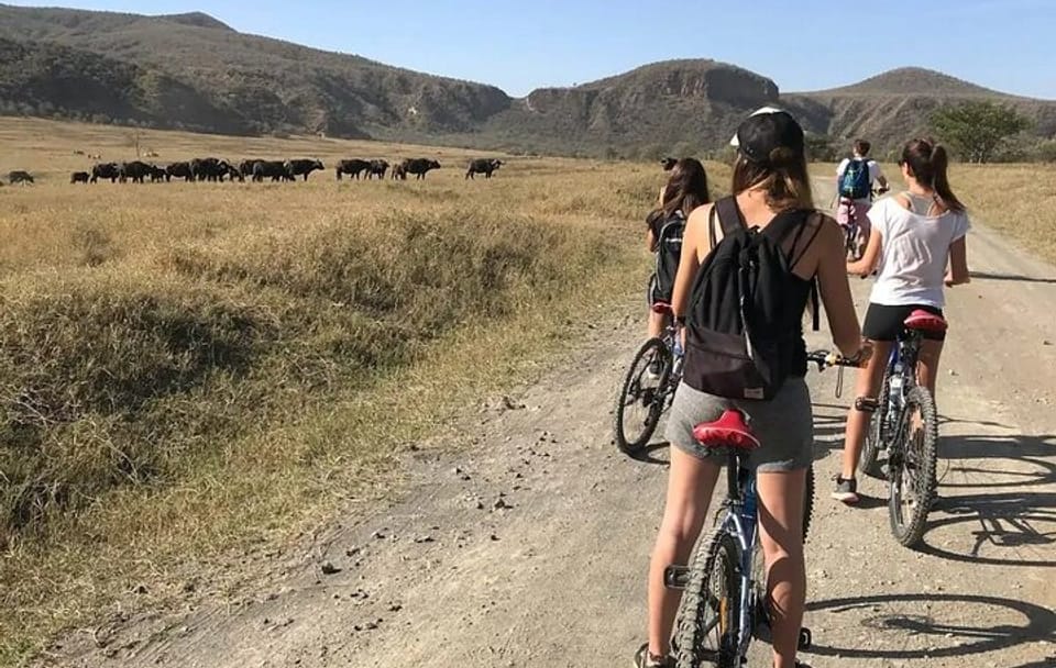 Day Trip to Hells Gate and Lake Naivasha From Nairobi