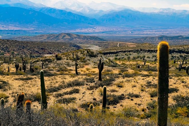 Calchaquies Valleys
