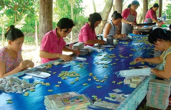 1-Day Mekong Delta Deluxe Tour: My Tho & Ben Tre (Max 10)