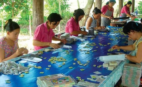 Mekong Delta Small Group Tour with Boat Trip from Ho Chi Minh City