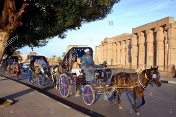 Explore Luxor's Historical Sights on a 3-Hour Horse Carriage Tour