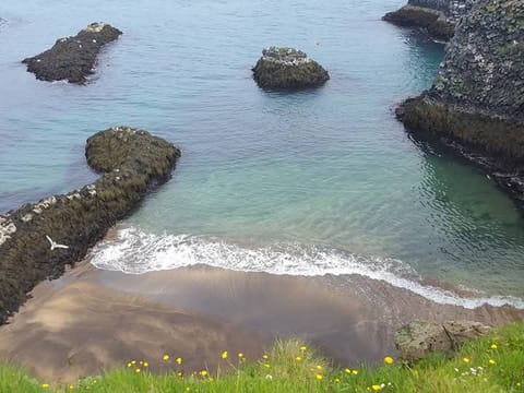 Snæfellsnes Peninsula - Private Tour (1–6 passengers), photo 5