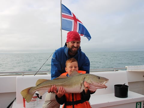 Reykjavik City Walk and Sea Angling, photo 9