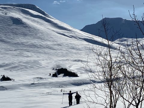Snowshoeing and Flotation in Fljótin, photo 2