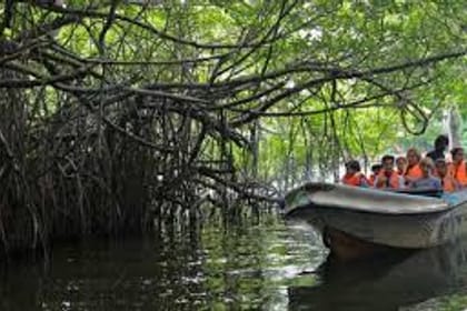 03 Day Tour From Colombo