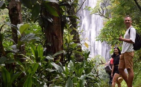 From Arusha: Materuni Village and Waterfall Day Tour