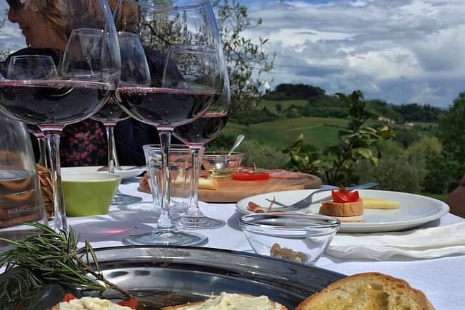 Lunch and Wine tasting in Organic farm
