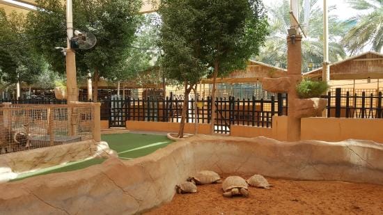 Abu Dhabi: Emirates Park Zoo – Interact, Explore, Discover Wildlife!