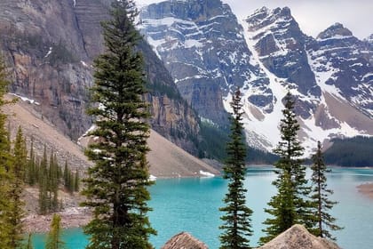 Lake Louise, Moraine Lake, Peyto Lake, Crowfoot Tour from Banff