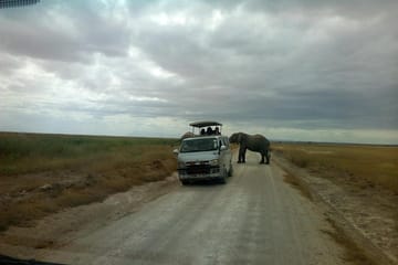 2-Day Wildlife Safari in Amboseli National Park, Kenya