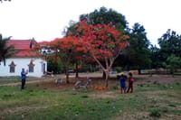 View in the village