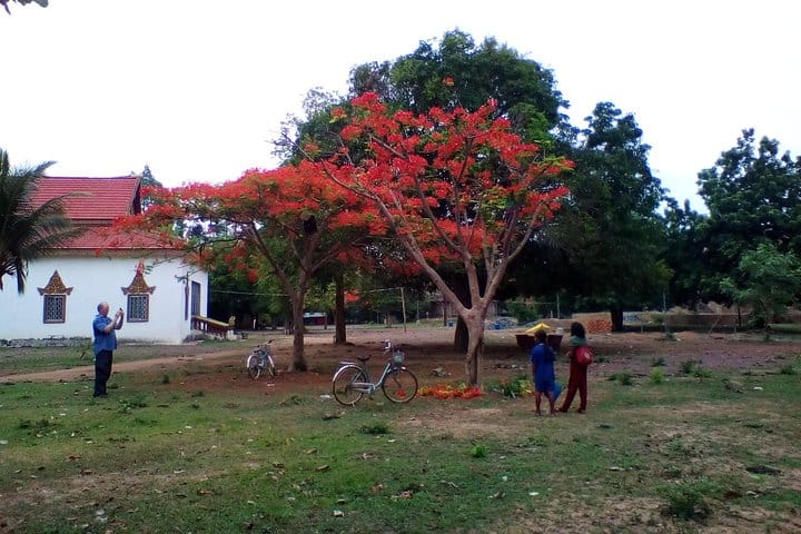 View in the village