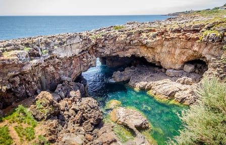 Private  Sintra, Pena Palace, Belém and Cascais