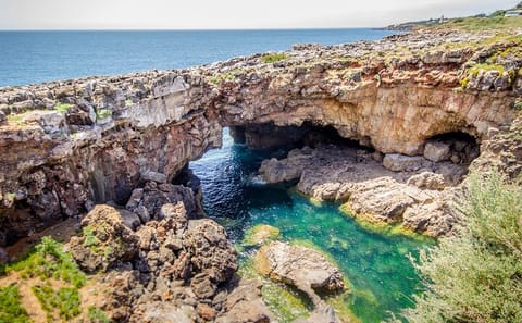 Private Day Tour to Sintra, Pena Palace, Belém and Cascais